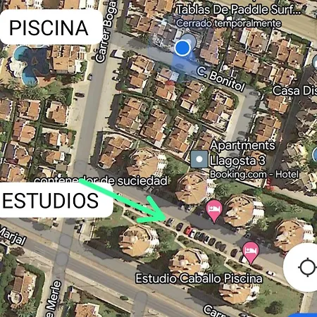 Estudio Caballo-piscina דירה דניה
