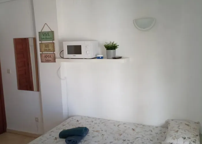 Estudio Caballo-piscina Denia