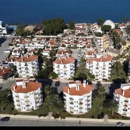 Estudio Caballo-piscina *