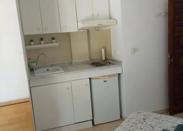 Estudio Caballo-piscina